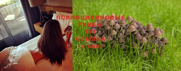 ПСИЛОЦИБИНОВЫЕ ГРИБЫ Абдулино
