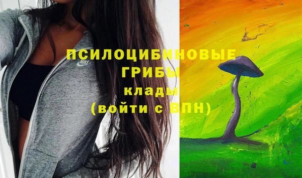 ПСИЛОЦИБИНОВЫЕ ГРИБЫ Абдулино