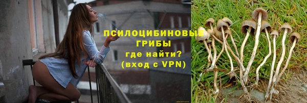 винт Абаза