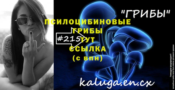 винт Абаза