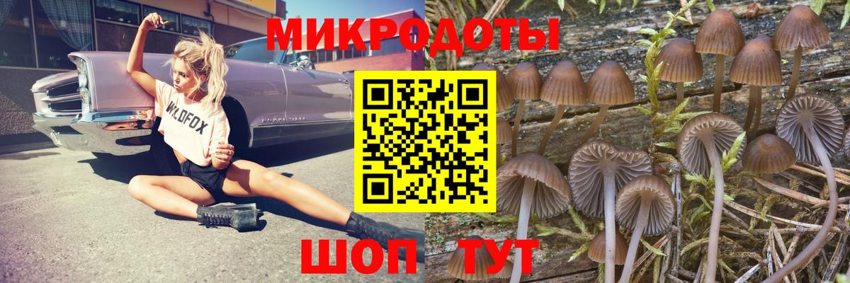 Псилоцибиновые грибы ЛСД Нижнекамск