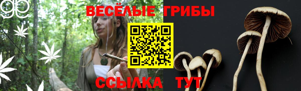 Нижнекамск  Галлюциногенные грибы прущие грибы  Вход с VPN 